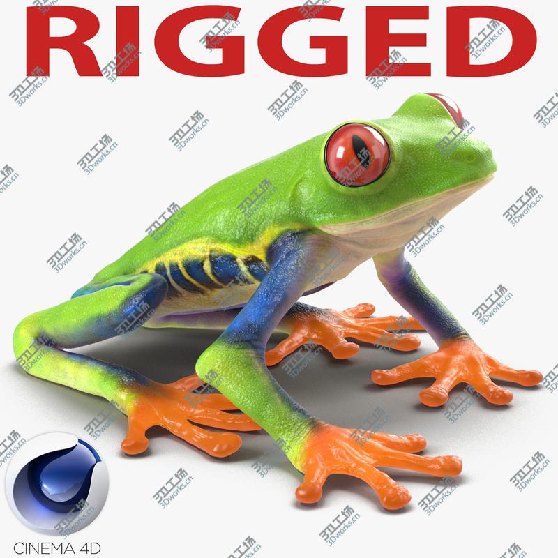 images/goods_img/2021040232/Red Eyed Tree Frog Rigged for Cinema 4D/1.jpg